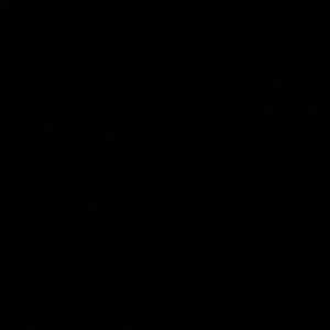 Meet your Posher, Lisbeth